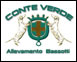 Conte Verde Bassotti